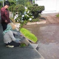 Image464.jpg
