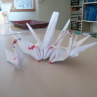 2013051823343500.jpg
